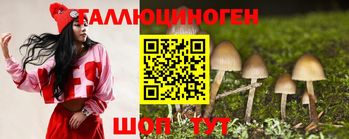 Галлюциногенные грибы Psilocybe  Псилоцибиновые грибы Cubensis  Ессентуки  Вход с VPN 
